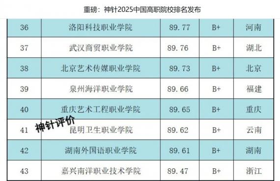 重磅：神针2025中国高职院校排名发布,重庆艺术工程职业学院列民办高...